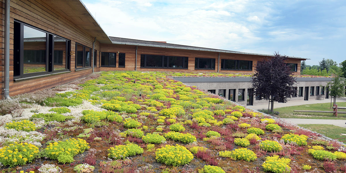 Dachgärten ROEHSE & FISCHER Garten und Landschaftsbau